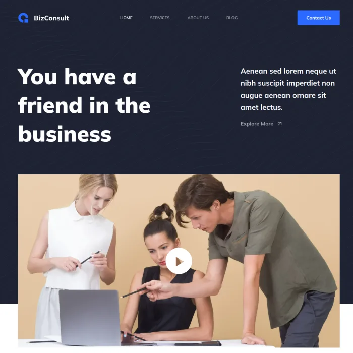 bizconsult